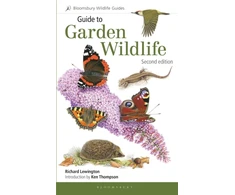 KNYGA Richard Lewington Guide to Garden Wildlife (2nd edition)
