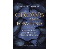 KNYGA Rick De Yampert Crows and Ravens