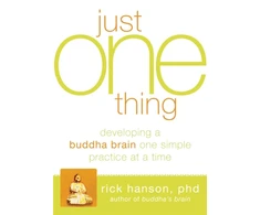 KNYGA Rick Hanson Just One Thing