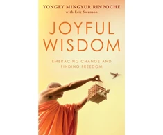 KNYGA Rinpoche Yongey Mingyur Joyful Wisdom