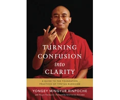 KNYGA Rinpoche Yongey Mingyur Turning Confusion into Clarity