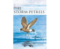 KNYGA Rob Thomas Storm-petrels