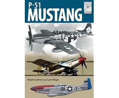KNYGA Robert Jackson Undifferentiated Flight Craft 19: North American Aviation P-51 Mustang
