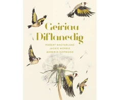 KNYGA Robert Macfarlane Geiriau Diflanedig