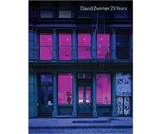 KNYGA Robert Storr David Zwirner: 25 Years