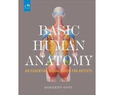 KNYGA Roberto Osti Basic Human Anatomy