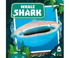 KNYGA Robin Twiddy Whale Shark