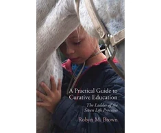 KNYGA Robyn M Brown Practical Guide to Curative Education