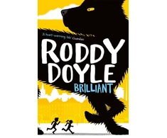 KNYGA Roddy Doyle Puikus