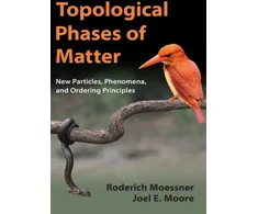 KNYGA Roderich Moessner Topological Phases of Matter