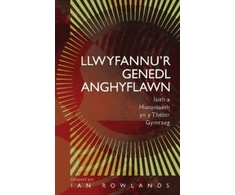 KNYGA ROWLANDS Llwyfannu’r Genedl Anghyflawn