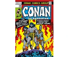 KNYGA Roy Thomas Conan The Barbarian: The Original Comics Omnibus Vol.4