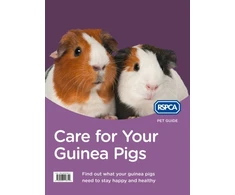 KNYGA Rspca Staff Care for Your Guinea Pigs