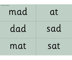 KNYGA Ruth Miskin Read Write Inc. Phonics: Nursery Žalias Word Cards