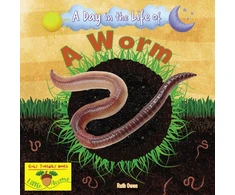 KNYGA Ruth Owen Worm
