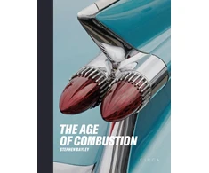KNYGA S Bayley Age of Combustion