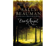 KNYGA Sally Beauman Dark Angel