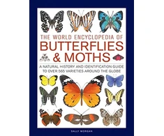 KNYGA Sally Morgan Butterflies &amp; Moths, The World Encyclopedia of
