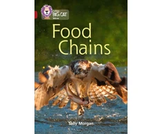 KNYGA Sally Morgan Food Chains