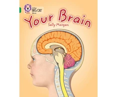 KNYGA Sally Morgan Your Brain