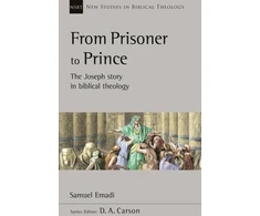 KNYGA Sam Emadi From Prisoner to Prince