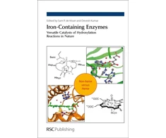 KNYGA Samuel P. de Visser Iron-Containing Enzymes
