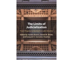 KNYGA Sandra Botero Cabrera Limits of Judicialization