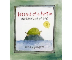 KNYGA Sandy Gingras Lessons of a Turtle