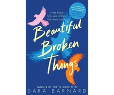 KNYGA Sara Barnard Beautiful Broken Things