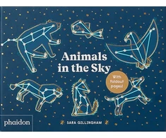 KNYGA Sara Gillingham Animals in the Sky