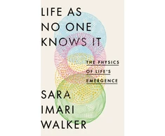 KNYGA Sara Imari Walker Life As No One Knows It