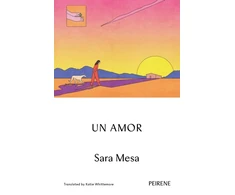 KNYGA Sara Mesa Un Amor
