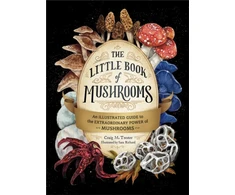 KNYGA Sara Richard Little Book of Mushrooms