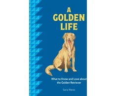 KNYGA Sara Weiss Golden Life, What to Know and Love about the Golden Retriever