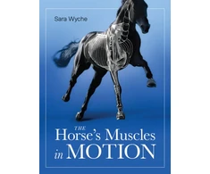 KNYGA Sara Wyche Horse's Muscles in Motion