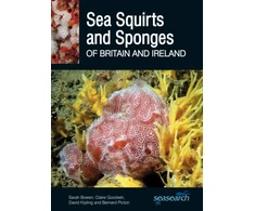 KNYGA Sarah Bowen Sea Squirts and Sponges of Britain and Ireland