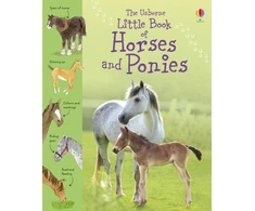 KNYGA Sarah Kahn Little Book of Horses and Ponies