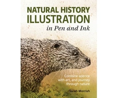 KNYGA Sarah Morrish Natural History Illustration in Pen and Ink