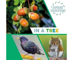 KNYGA Sarah Ridley Explore Ecosystems: In a Tree