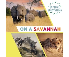 KNYGA Sarah Ridley Explore Ecosystems: On a Savannah