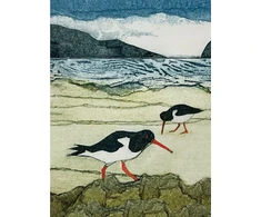 KNYGA Sarah Ross Thompson Wild Birds Pocket Notebook: Oystercatcher