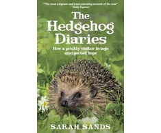 KNYGA Sarah Sands Hedgehog Diaries