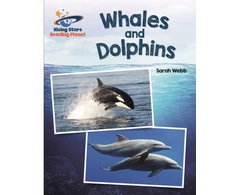 KNYGA Sarah Webb Reading Planet - Whales and Dolphins - Baltas: Galaxy