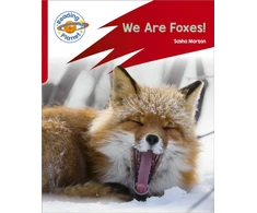 KNYGA Sasha Morton Reading Planet: Rocket Phonics – Target Practice - We Are Foxes - Raudona A