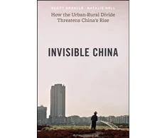 KNYGA Scott Rozelle Invisible China