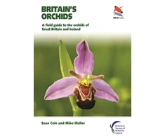 KNYGA Sean Cole Britain's Orchids