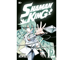 KNYGA SHAMAN KING Omnibus 7 (Vol. 19-21)