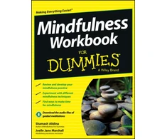 KNYGA Shamash Alidina Mindfulness Workbook For Dummies