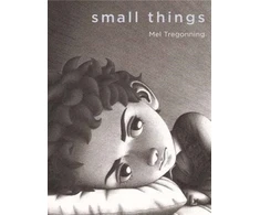 KNYGA Shaun Tan Small Things