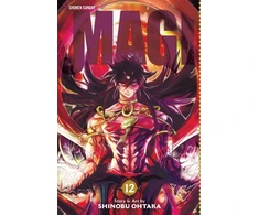 KNYGA Shinobu Otaka Magi: The Labyrinth of Magic, Vol. 12